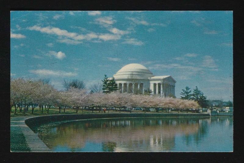 Postcard with an image of the Jefferson Memorial against a blue sky. In the foreground is the Tidal Basin with cherry trees along the edge, covered in pink blossoms.