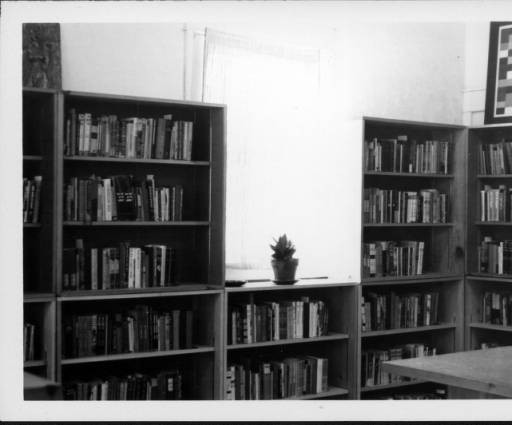 Shelving, Bookcase, Shelf, Library