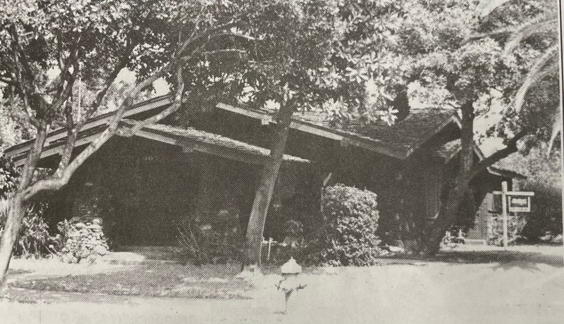 Building, Plant, House, Wood