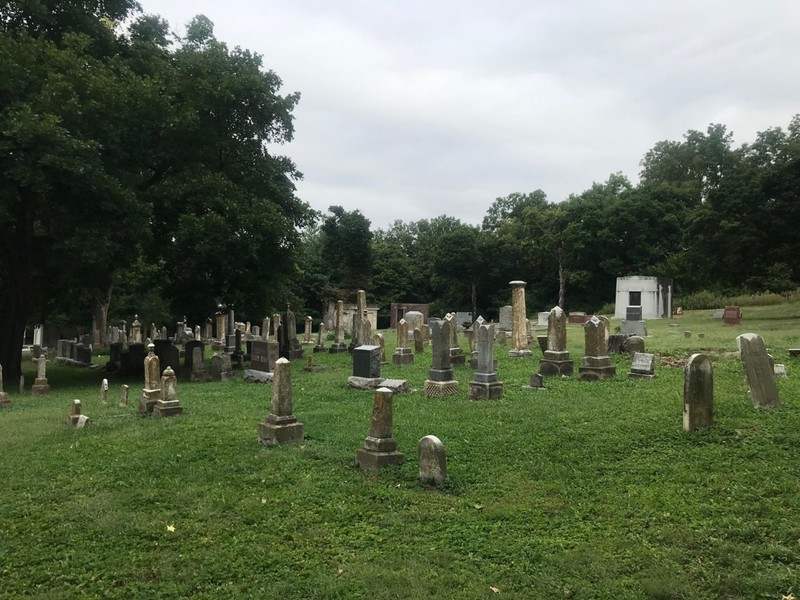 Plant, Cloud, Sky, Cemetery