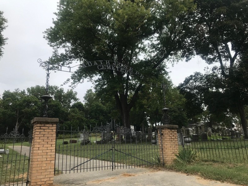 Plant, Sky, Tree, Fence