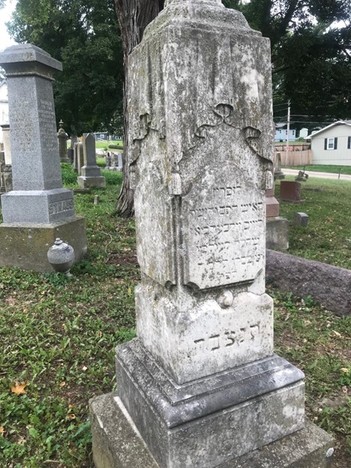 Plant, Tree, Cemetery, Headstone