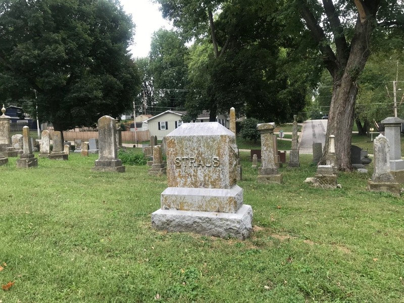 Plant, Cemetery, Tree, Grave