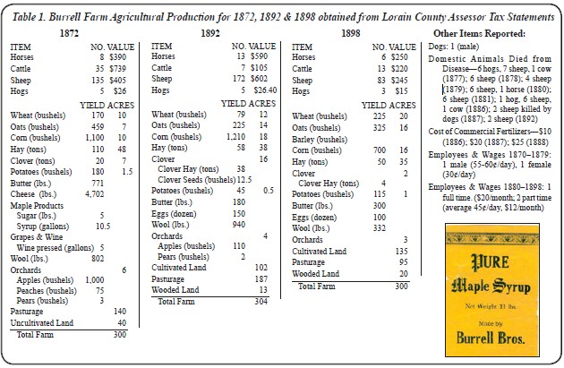 Font, Material property, Parallel, Number