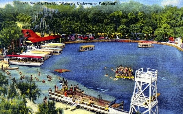 Overview of Silver Springs. Tourists use to be able to swim in the springs. 