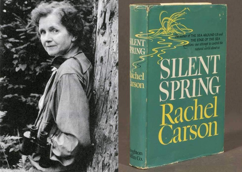 Rachel Carson and her most famous book, Silent Spring. It detailed why the harmful pesticide DDT was toxic to the environment. 