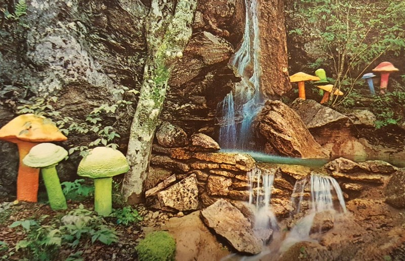 Mushrooms in Oz