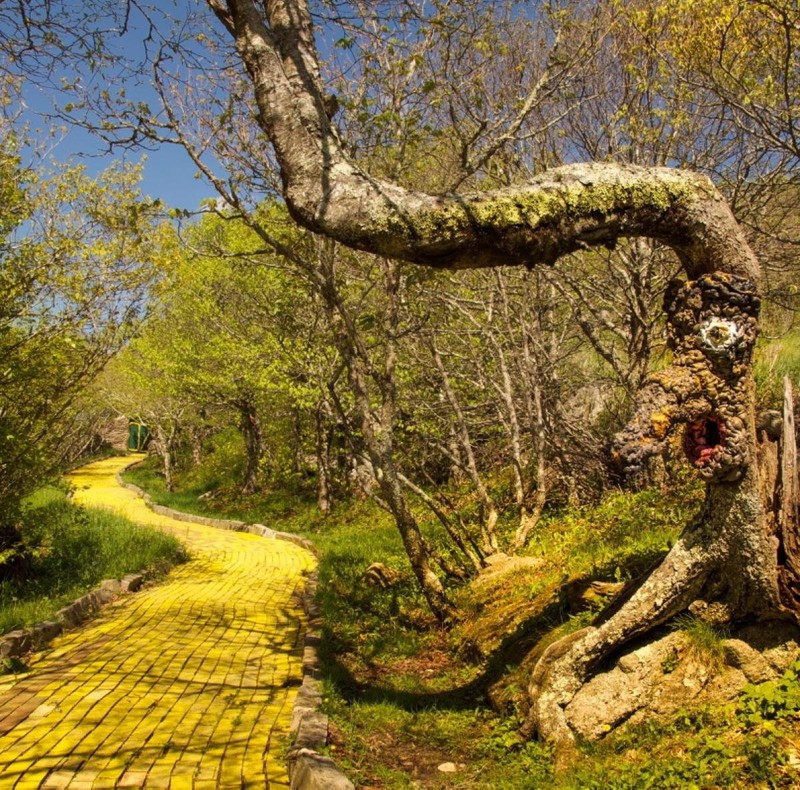 Tree and path of Oz