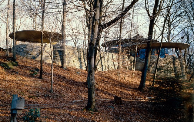 Wood, Shade, Natural landscape, Sky