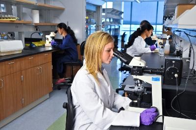 One of the laboratories in the Loyola Science Center.