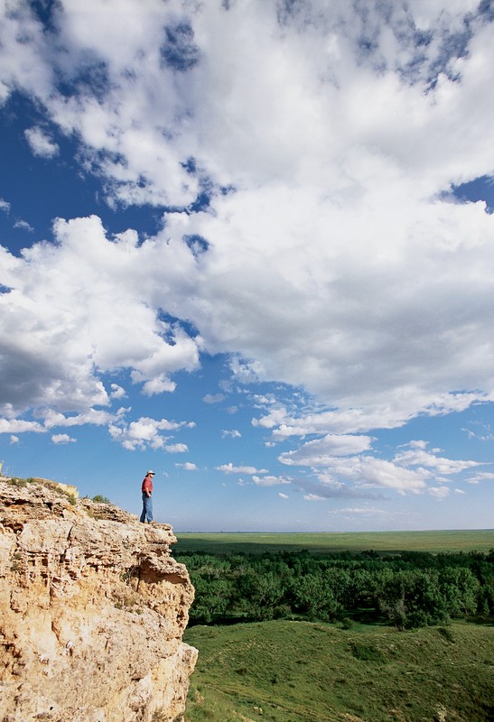 Cloud, Sky, Plant, People in nature