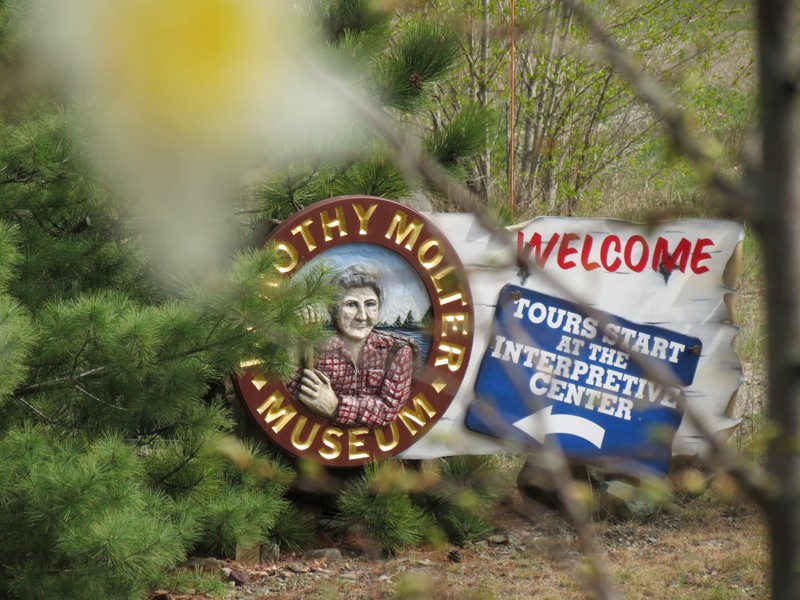 Museum Entrance Sign 