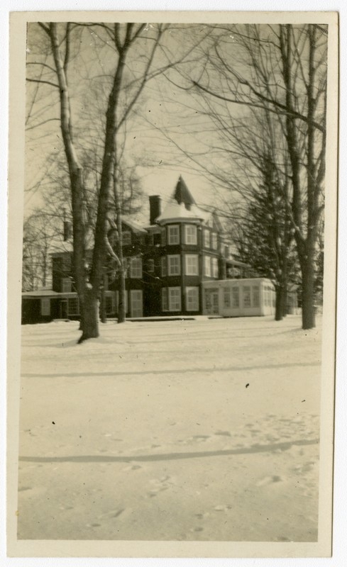 Tree, Building, Snow, Window