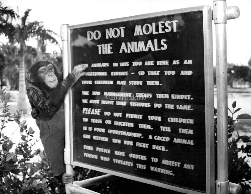 An old sign at the original Crandon Park Zoo.