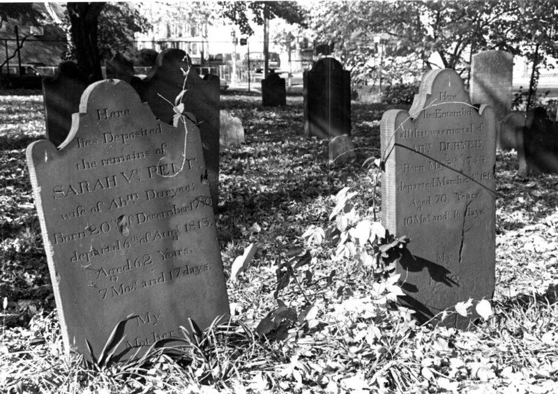 Plant, Cemetery, Leaf, Black