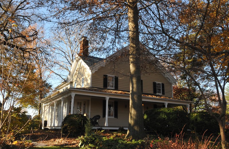 November 22, 2012 photo of Birch House by Jerrye & Roy Klotz, M.D.