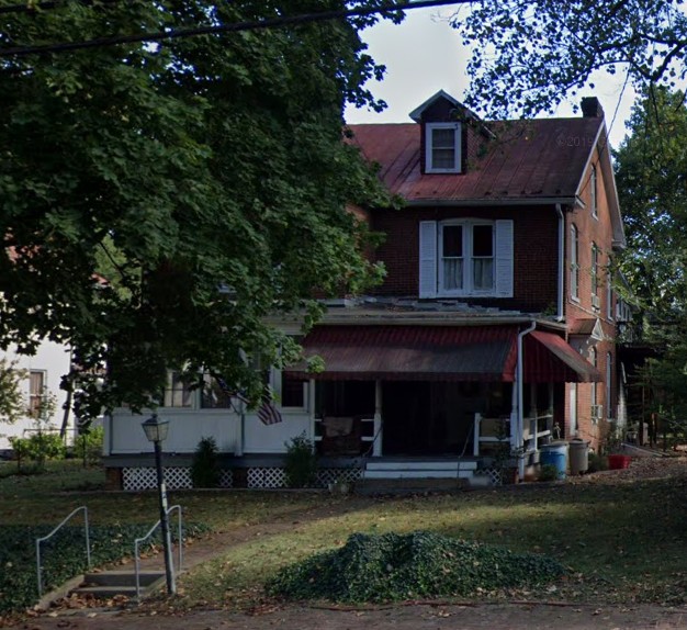 Plant, Window, Property, Building