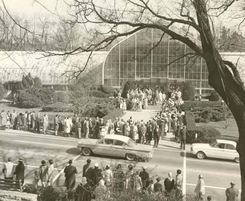 Krohn Conservatory circa 1950