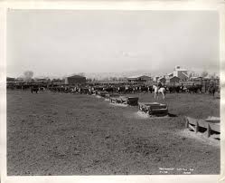 Goodyear Farms circa 1940-notice the cotton gin in the background