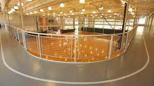 Wood, Floor, Hardwood, Glass