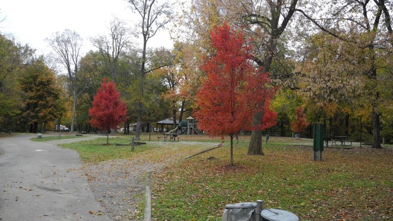 A view of the park.