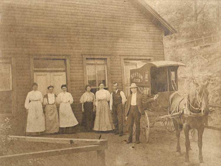 Horse, Wheel, Working animal, Window