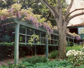 Wisteria Arbor