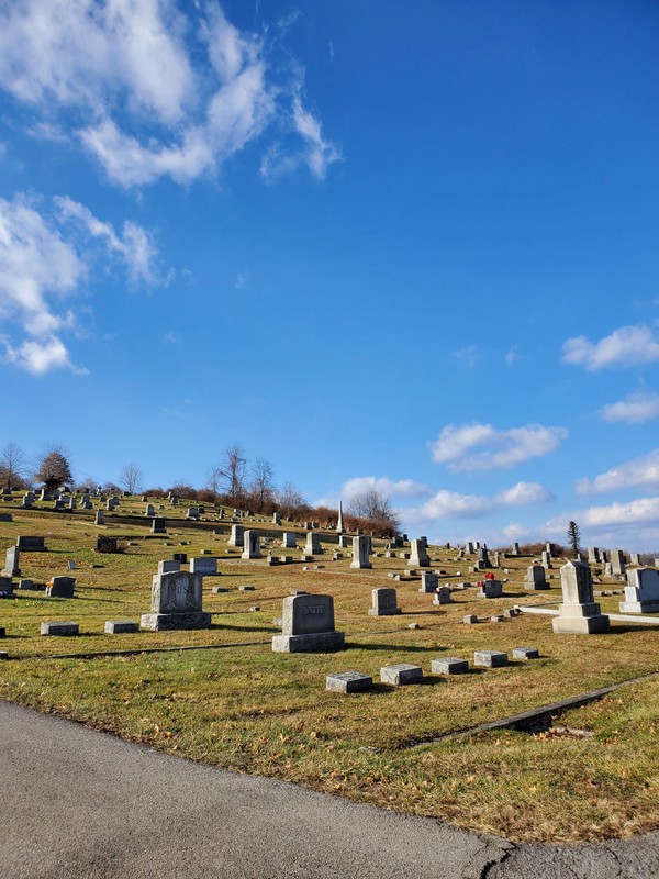 Cloud, Sky, Cemetery, Plant