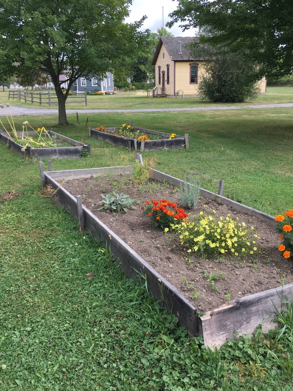 Kitchen garden