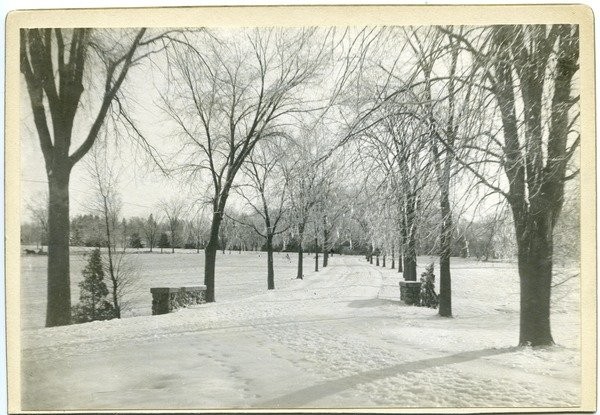 M.A.C. Avenue in snow, photograph, ca. 1910.
