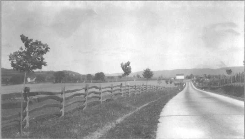 State Route 147 prior to the planting of Sycamore Allee.  