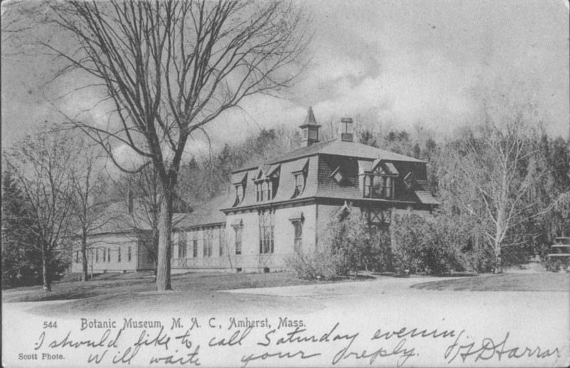 Botanic Museum, postcard, ca. 1910. 