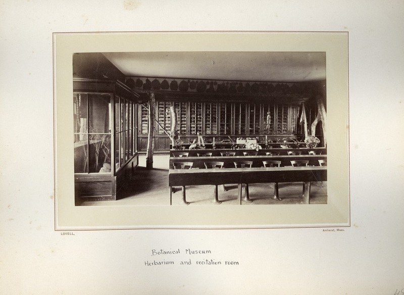 Botanical Museum, Herbarium and Recitation room, ca. 1876.