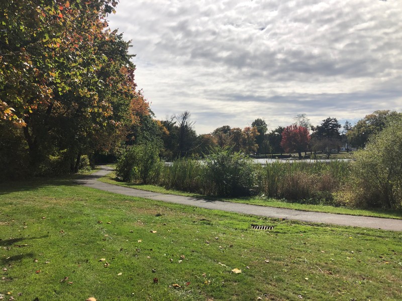 A walkway bends around the first pond at Fulton Park, facing Cooke Street