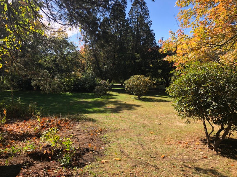 A view from the Greenwood Avenue side of Fulton Park