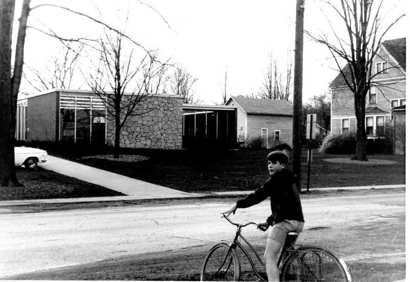 Bicycle, Wheel, Tire, Plant