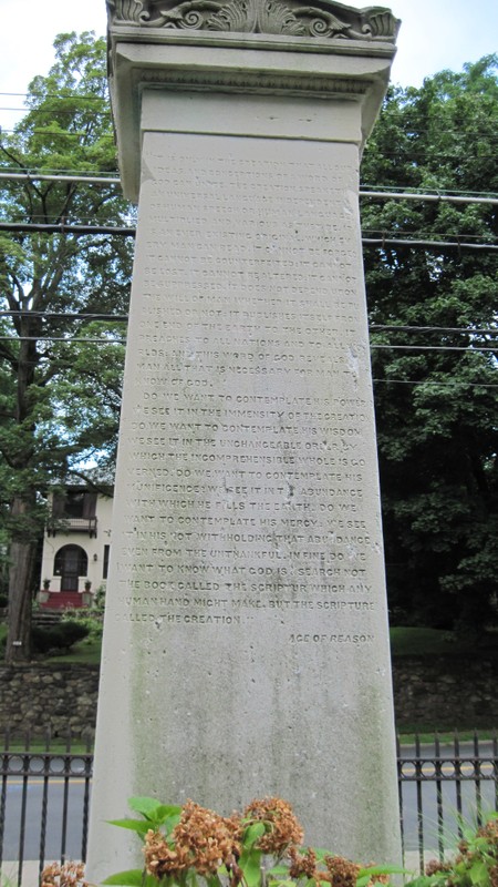 Plant, Tree, Headstone, Artifact