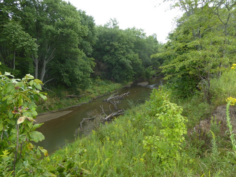 Water, Plant, Water resources, Sky