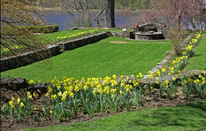 Grounds at Cedarmere