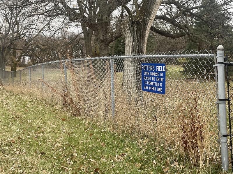 Plant, Tree, Fence, Land lot