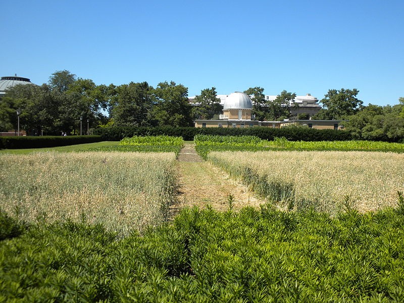 View of the Morrow Plots.