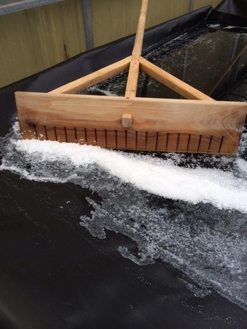 Raking the salt crystals with a birch rake 