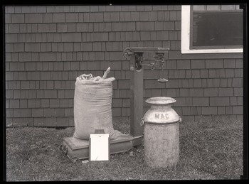 Extension School dairy equipment: feed, scales, milk can, and record, ca. 1920.
