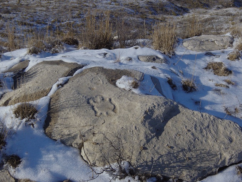 Turtle petroglyph