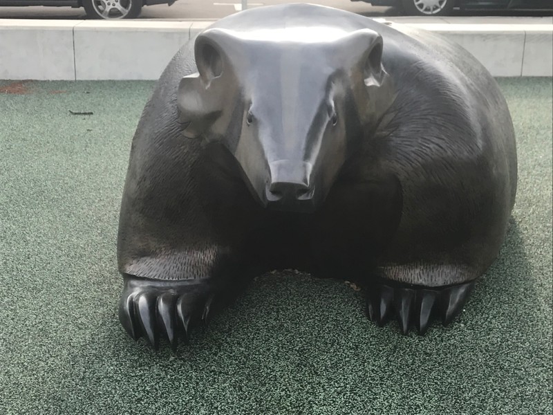 Bronze Badger Statue by Ho-Chunk Artist Harry Whitehorse