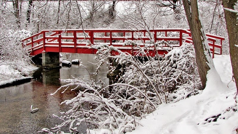 This footbridge over Dykeman Creek stands in stark contrast to the surrounding snow.  