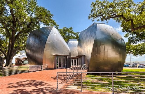 John S. and James L. Knight Gallery (The Pods) is one of five structures on the campus designed by architect Frank Gehry and Gehry Partners. Credit: Ron Buskirk, 2014.