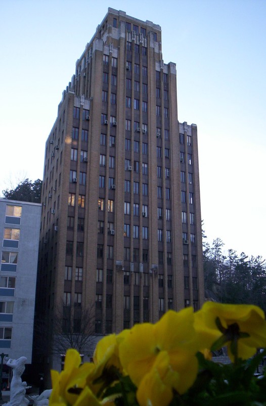 Sky, Building, Skyscraper, Daytime