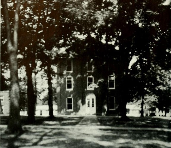 Building, Window, Tree, House