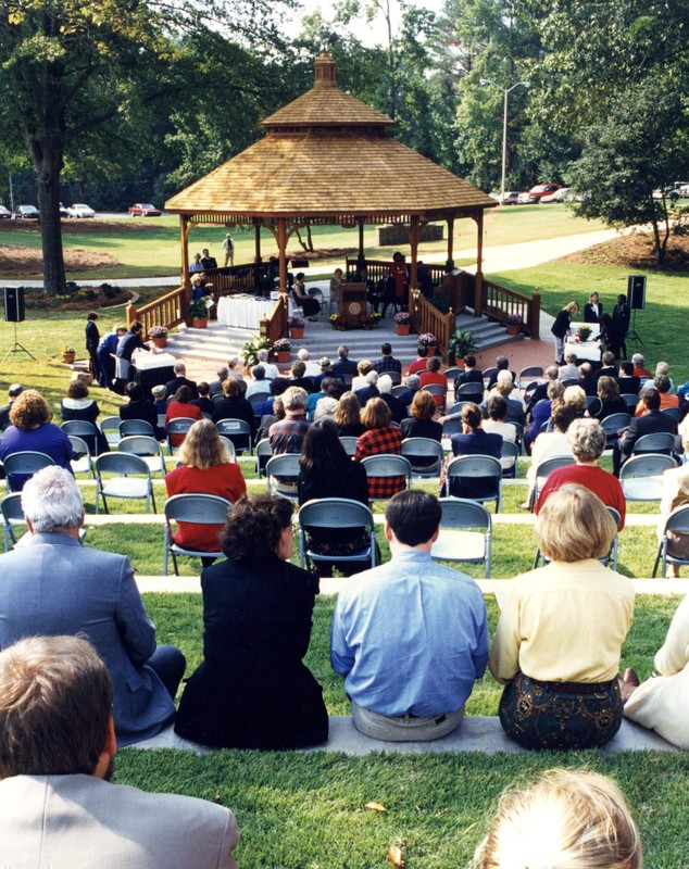 Plant, Tree, Leisure, Crowd